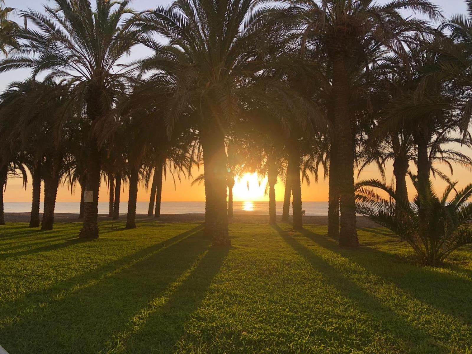 Apartamento Playamar - Torremolinos Primera Linea Playa Esterno foto